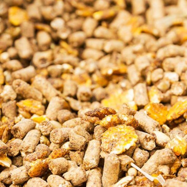 feed-additives