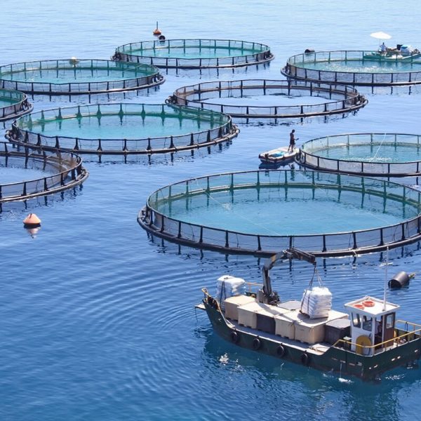products-_0000_Aquaculture